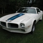 A white pontiac firebird parked in the grass.