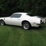 A white muscle car is parked on a grassy field.